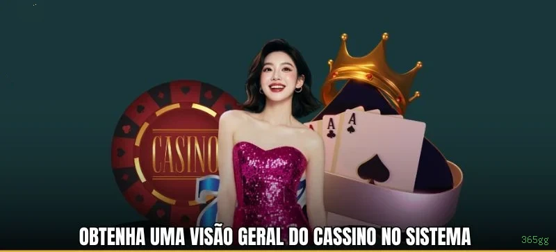 Suporte VIP 365gg - atendimento prioritário
